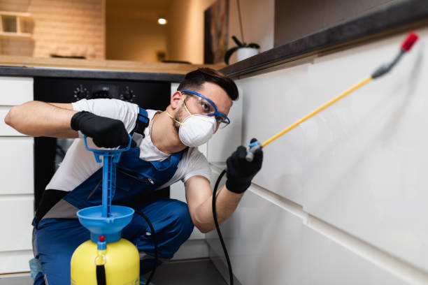 Best Wildlife Control Services  in Capitol Heights, MD