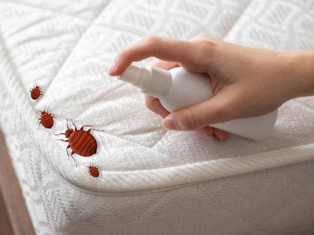 Best Exterminator Services  in Capitol Heights, MD