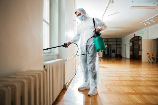 Best Rat Extermination Near Me  in Capitol Heights, MD