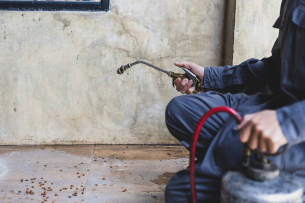 Best Pest Prevention Services  in Capitol Heights, MD