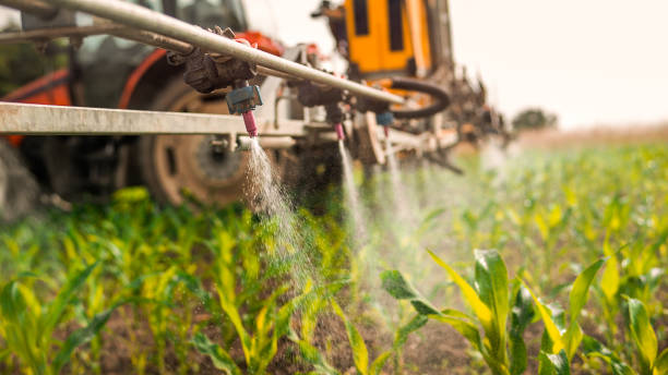 Best Ant Control Services  in Capitol Heights, MD